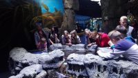 Посещение океанариума
